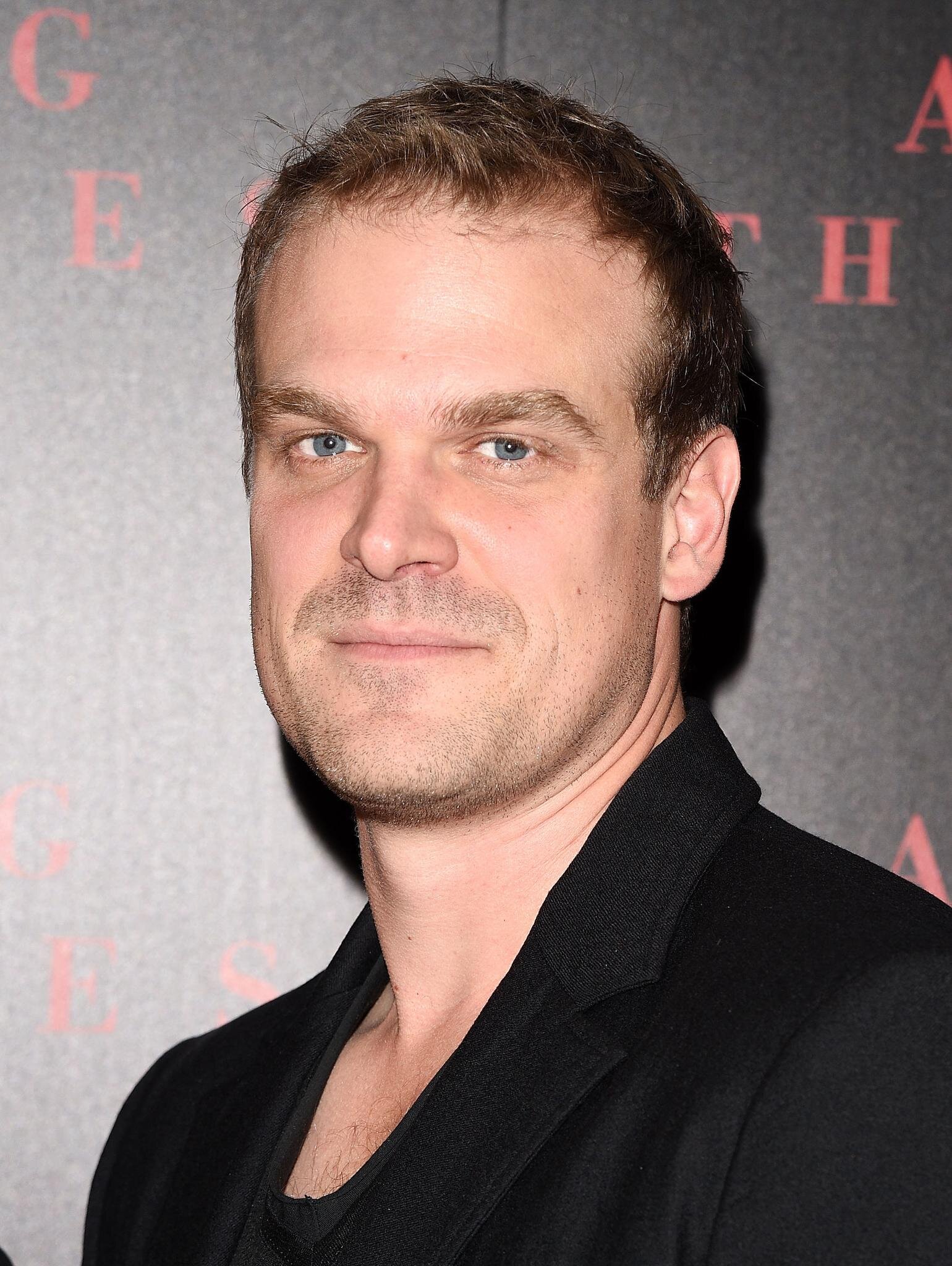 David Harbour — Chief Jim Hopper