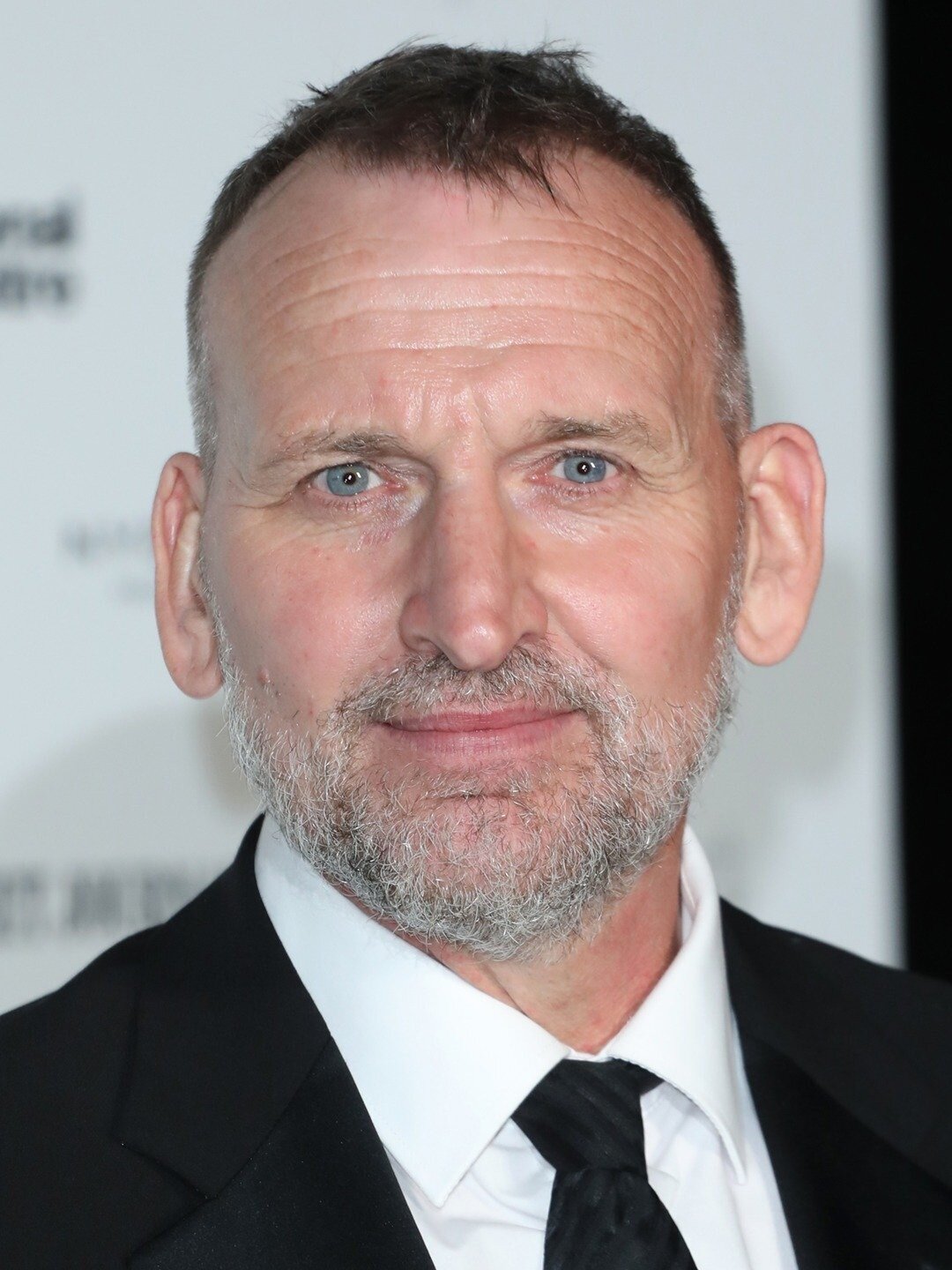 Christopher Eccleston — Ted Connelly