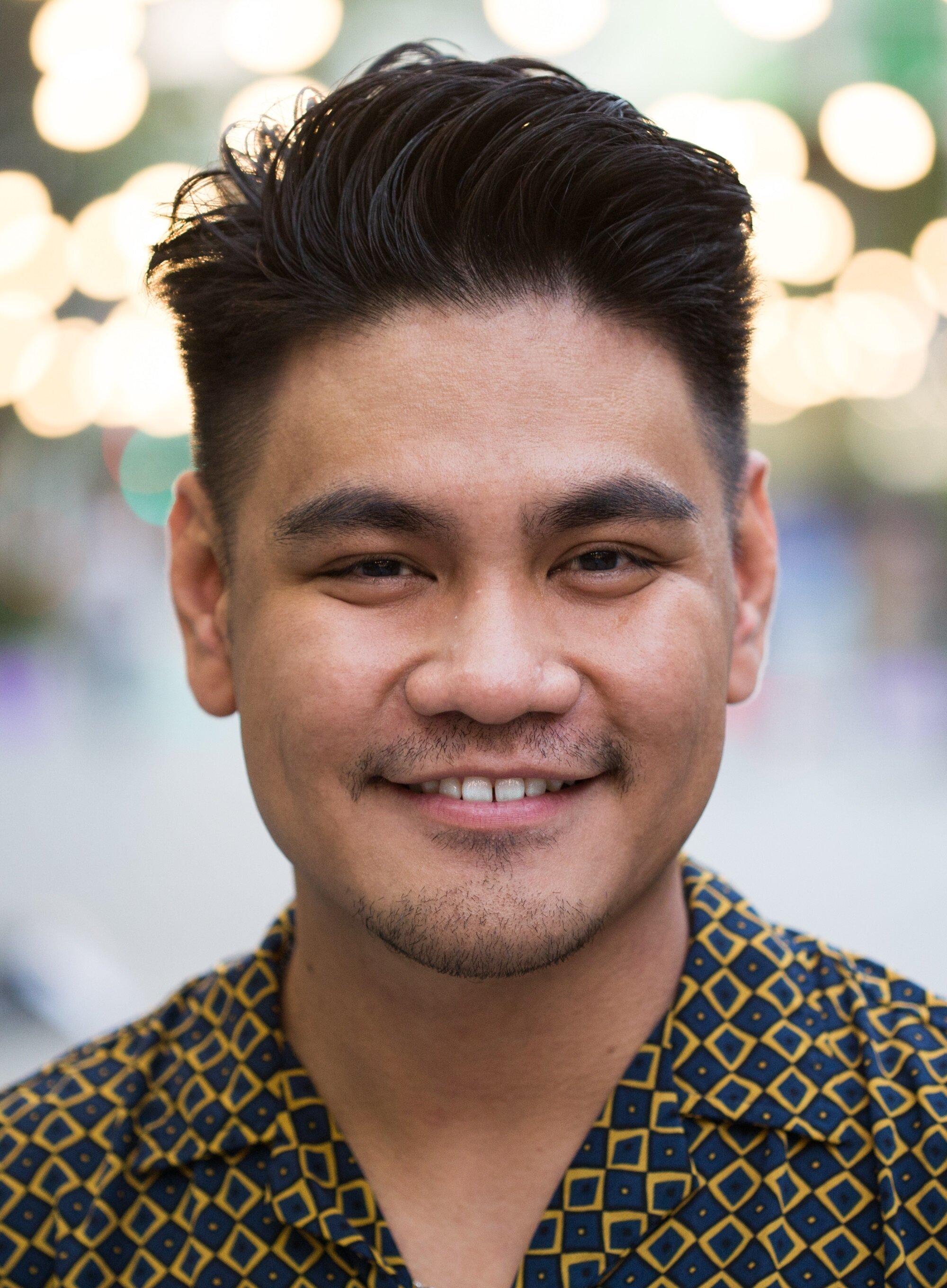 Dominique Brillantes — Data Processing Guard