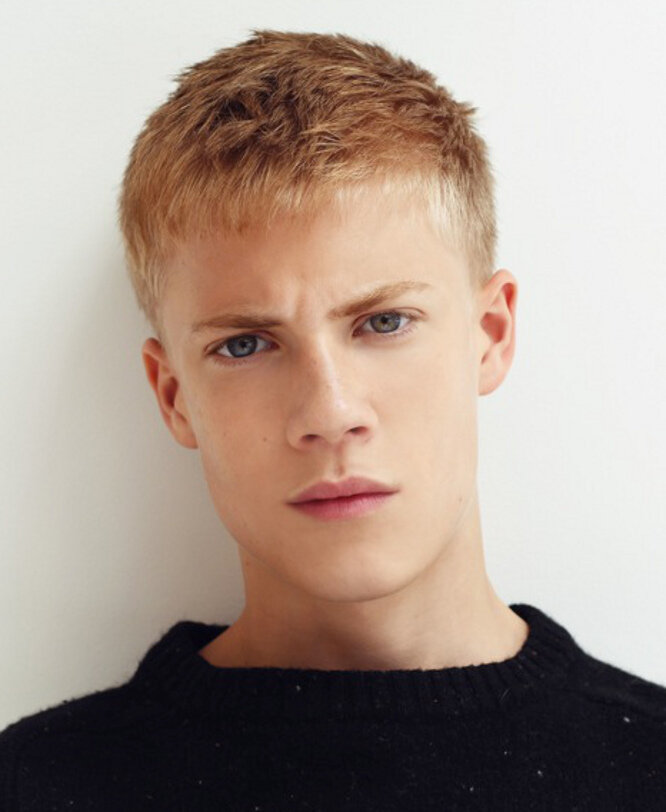 Tom Taylor — Lord Cregan Stark