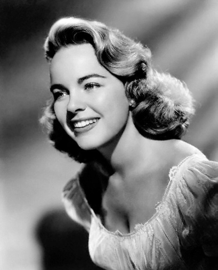 Terry Moore — Lilly Hill