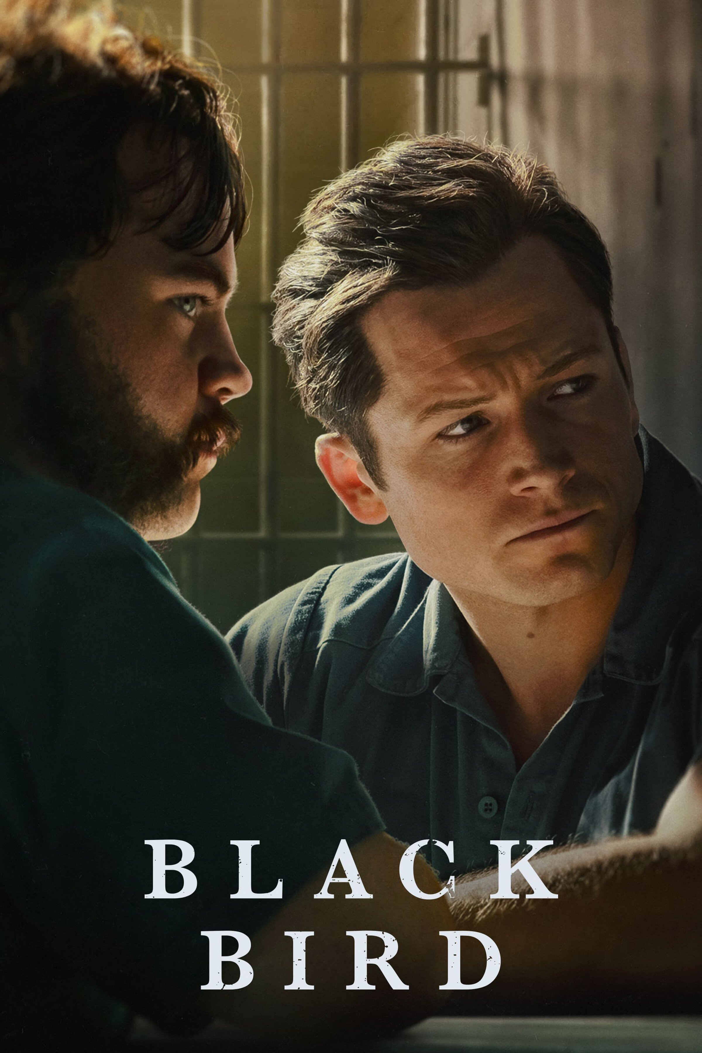 Постер сериала «Чёрная птица»